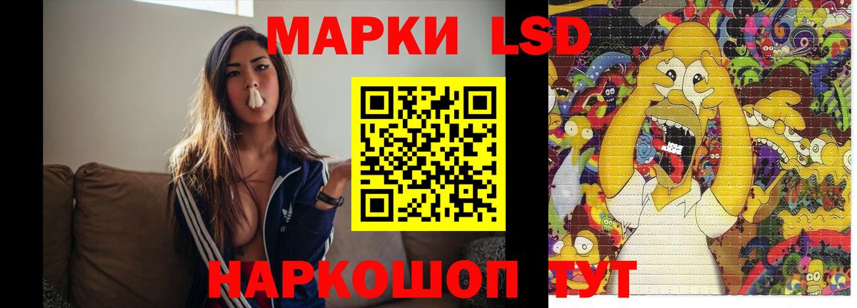 Бердск  Лсд 25 экстази ecstasy  kraken как войти  LSD-25 экстази ecstasy  Вход с VPN 