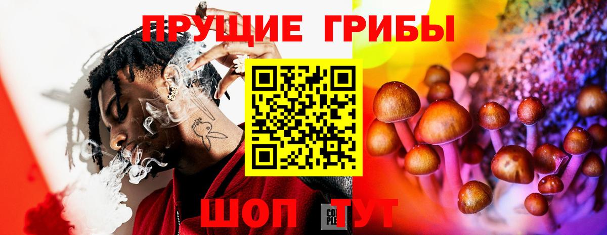 Бердск  Галлюциногенные грибы ЛСД  Вход с VPN 